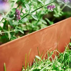 Verhoogde bedden van verweerd staal